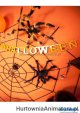 HurtowniaAnimatora.pl - wszystko na Halloween !